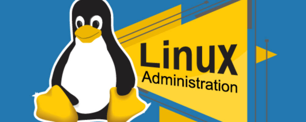 Your-paragraph-text-1-e1719337424195